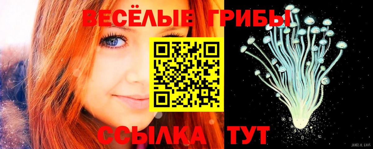 купить   Вход с VPN  Ивантеевка  Галлюциногенные грибы мицелий  Галлюциногенные грибы ЛСД 