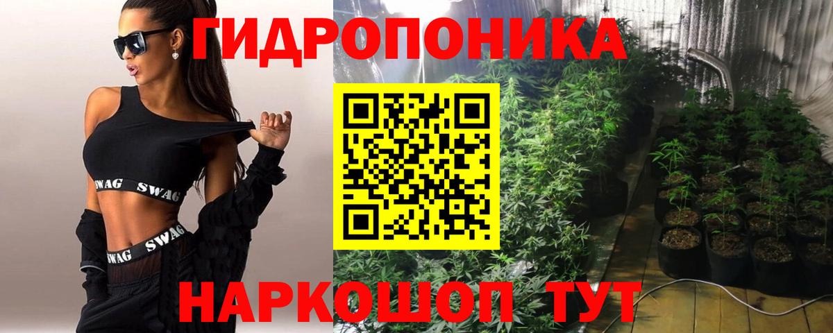 Марихуана сатива Ивантеевка